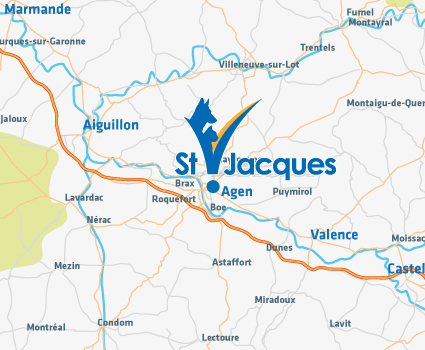 Nouveau : Radio Numérique Dentaire - Service Dentisterie - Clinique  Vétérinaire Saint Jacques