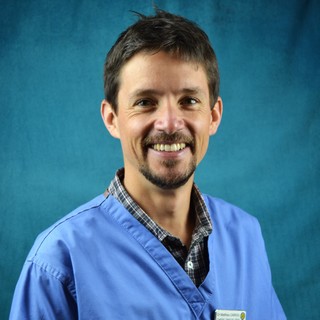 Dr Vétérinaire Matthieu CARIOU