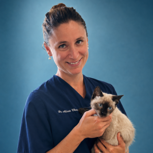 Dr Vétérinaire Alizée THIRIET